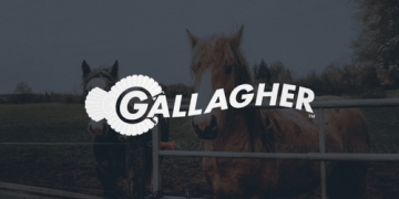Gallagher