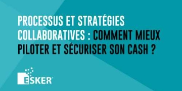 Processus et stratégies collaboratives dans le cycle I2C